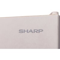 Sharp SJ-653GHXJ52R Image #5