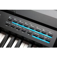 Kurzweil KA120 (черный) Image #7