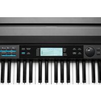 Kurzweil KA120 (черный) Image #9