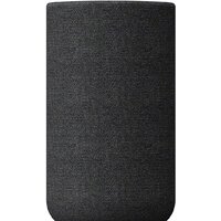 Sony SA-RS5 Image #2