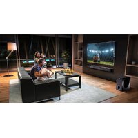 Magnat SBW 300 Image #7