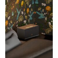 Audio Pro Addon C10 MkII (серый) Image #5