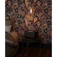 Audio Pro Addon C10 MkII (черный) Image #5