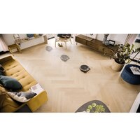 Miele Scout RX3 Runner — SPQL Image #2