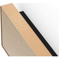 Bang & Olufsen Beosound Stage (золотистый) Image #4