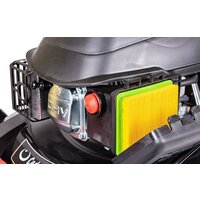 Cedrus KS48 Image #6