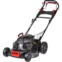 Cedrus KS53S Image #5