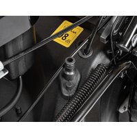 Cedrus KS53S-L Image #9