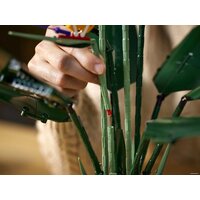 LEGO Creator Expert 10289 Райская птица Image #24