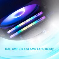 Patriot Viper Elite 5 RGB 2x24ГБ DDR5 6000 МГц PVER548G60C42KW Image #7