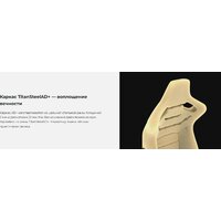 AndaSeat Kaiser 3 AD12YDC-L-01-O-PV/C (оранжевый) Image #7