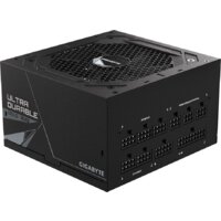 Gigabyte UD1000GM