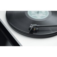 Pro-Ject Primary E Phono (белый) Image #2