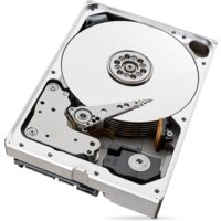 Seagate Skyhawk 10TB [ST10000VX0004] Image #4