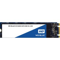 WD Blue 3D NAND 1TB WDS100T2B0B