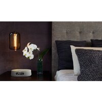 Harman/Kardon Citation Oasis (серый) Image #6