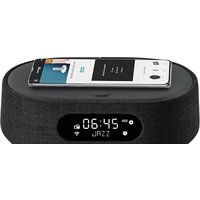 Harman/Kardon Citation Oasis (черный) Image #4