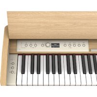 Roland F701 (коричневый) Image #6