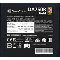 SilverStone Decathlon DA750R Gold SST-DA750R-GMA Image #7