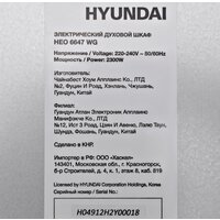 Hyundai HEO 6647 WG Image #12