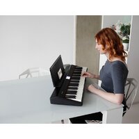 Roland Go:Piano GO-61P Image #14