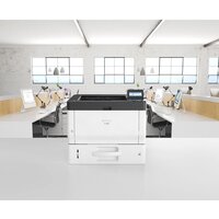 Ricoh P 501 Image #6