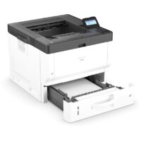 Ricoh P 501 Image #2