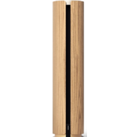 Bang & Olufsen Beosound Emerge (золотистый/светлый дуб) Image #2