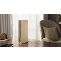 Bang & Olufsen Beosound Emerge (золотистый/светлый дуб) Image #12