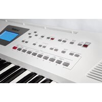 Roland BK-3 Image #11