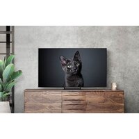 Samsung OLED 4K S90C QE77S90CAUXCE Image #8