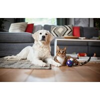 Philips FC8784/09 Image #12