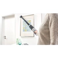 Bosch Serie 4 Flexxo Gen2 23Vmax BCH3K2301 Image #9