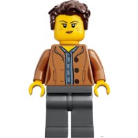 LEGO Ideas 21318 Дом на дереве Image #6