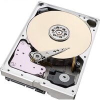 Seagate SkyHawk AI 16TB ST16000VE000 Image #2