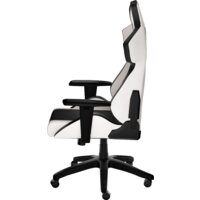 Genesis Nitro 650 (черный/белый) Image #4