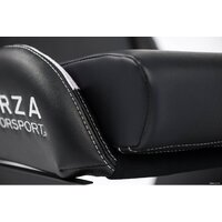 Playseat Forza Motorsport Image #13