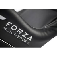 Playseat Forza Motorsport Image #19