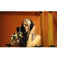 Sennheiser HD 600 Image #12