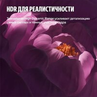 Яндекс ТВ Станция Бейсик QLED с Алисой 55 Image #12