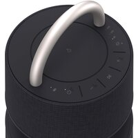 LG RP4 (черный) Image #7