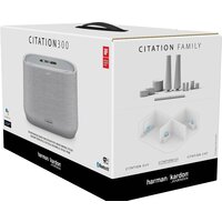 Harman/Kardon Citation 300 (серый) Image #7