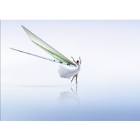 HONOR MagicBook Art 14 2024 MRA-721 5301AKXJ Image #17