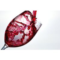 CASO WineComfort 24 (черный) Image #5