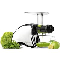 Sana EUJ-707 (хром) Image #2