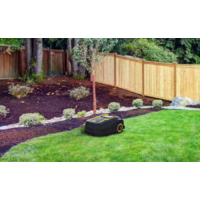 Cub Cadet XR5 2000 Image #5