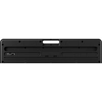 Casio LK-S250 Image #9