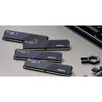 G.Skill Ripjaws S5 2x24ГБ DDR5 6000 МГц F5-6000J4048F24GX2-RS5K Image #5