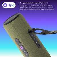 Яндекс Станция Стрит (зеленый) Image #11