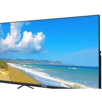 Polar P32L55T2CSM Image #2